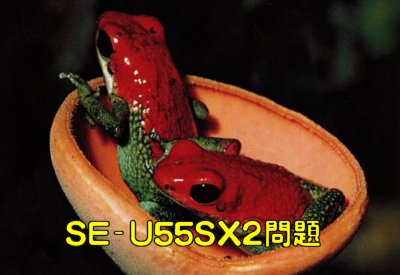SE-U55SX2問題